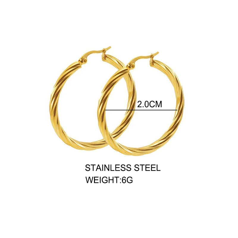 Trendy Twisted Round Hoop Earrings