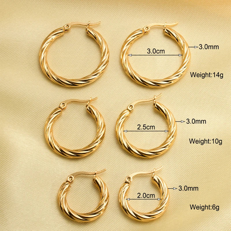 Trendy Twisted Round Hoop Earrings